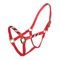 Tabelo Rope Trim Halter by StateLineTack