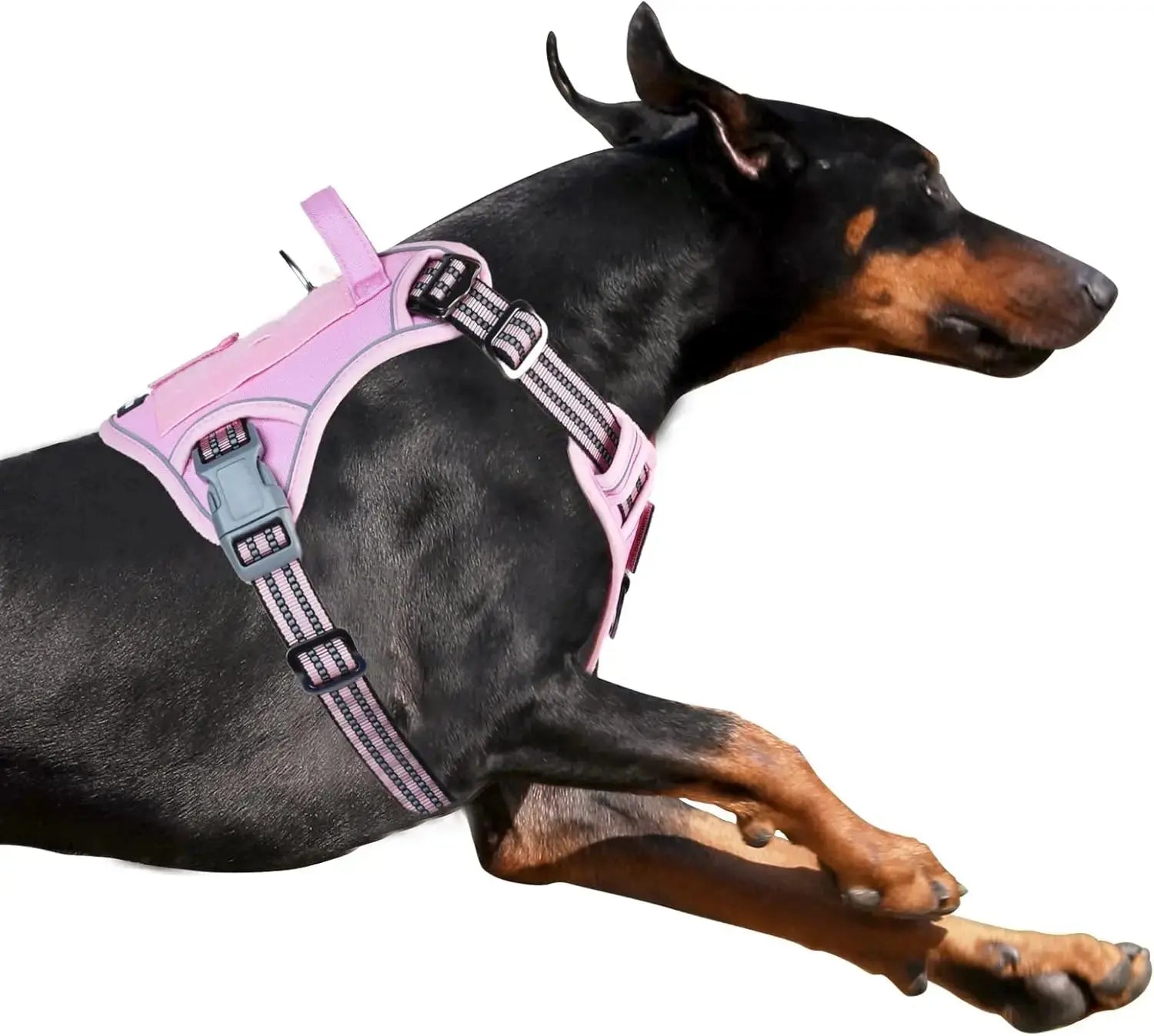 Tactical No-Pull Dog Harness with Handle, Reflective Adjustable Training Vest Wags & Whiskers Pet Supply