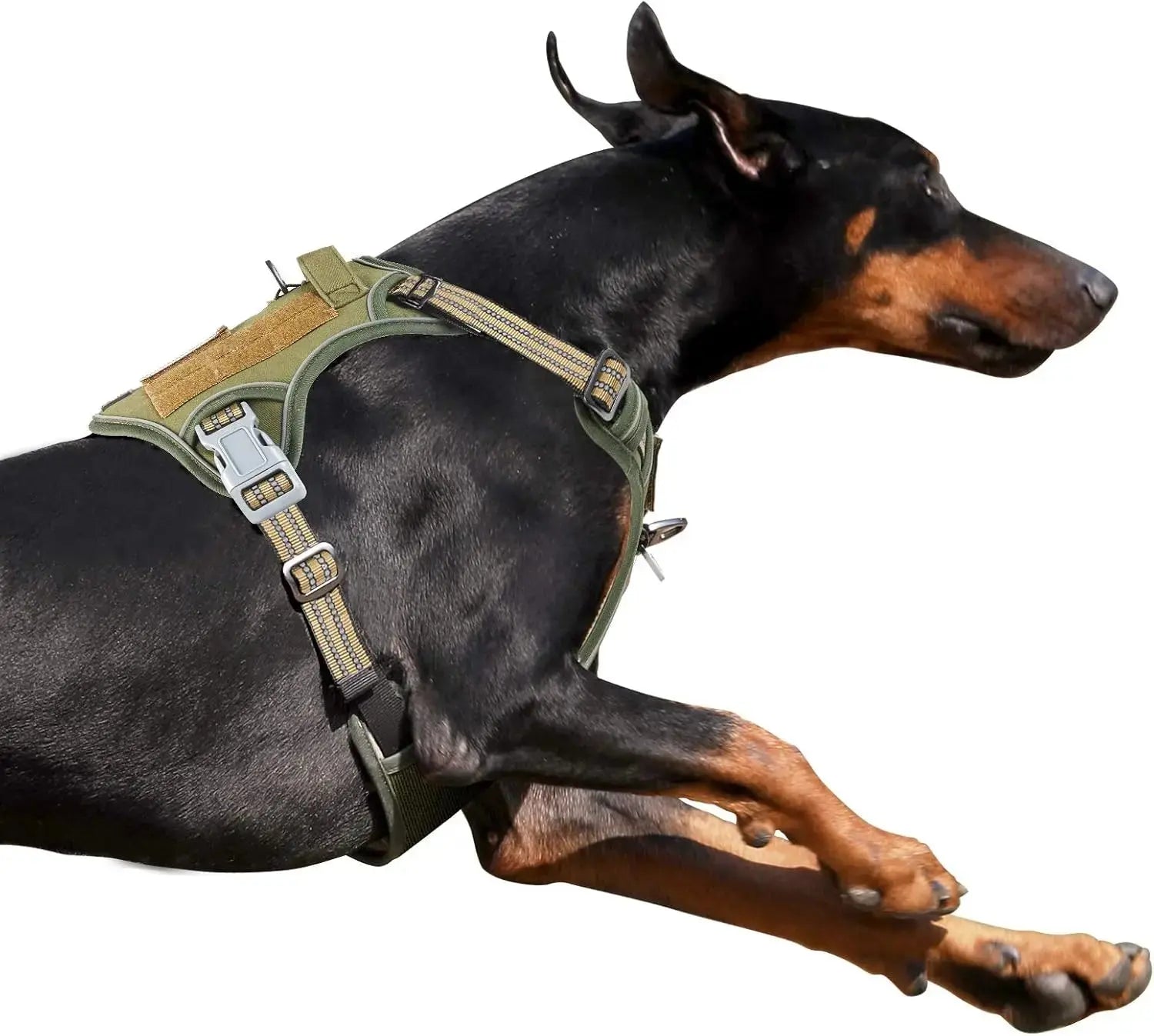 Tactical No-Pull Dog Harness with Handle, Reflective Adjustable Training Vest Wags & Whiskers Pet Supply