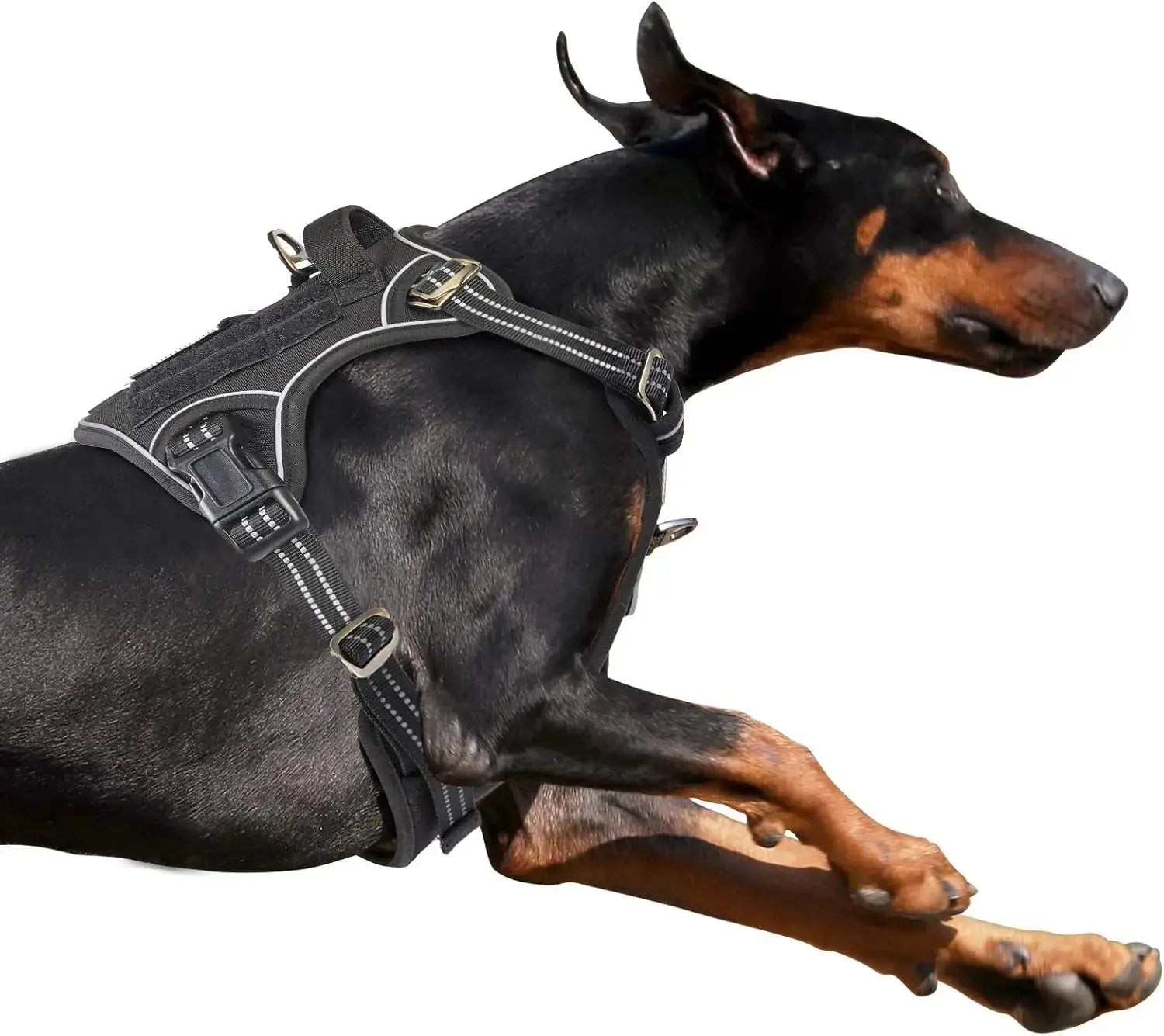 Tactical No-Pull Dog Harness with Handle, Reflective Adjustable Training Vest Wags & Whiskers Pet Supply