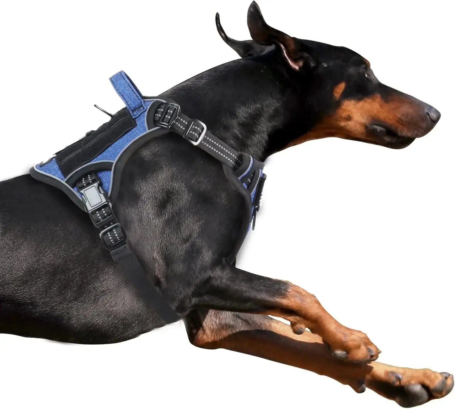 Tactical No-Pull Dog Harness with Handle, Reflective Adjustable Training Vest Wags & Whiskers Pet Supply