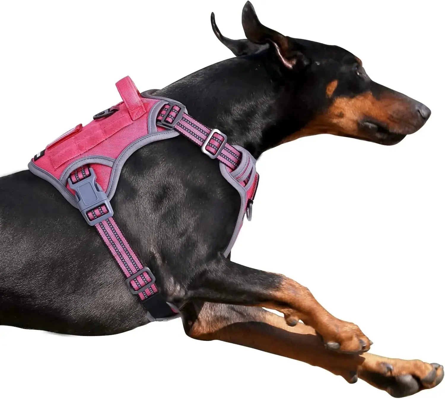 Tactical No-Pull Dog Harness with Handle, Reflective Adjustable Training Vest Wags & Whiskers Pet Supply