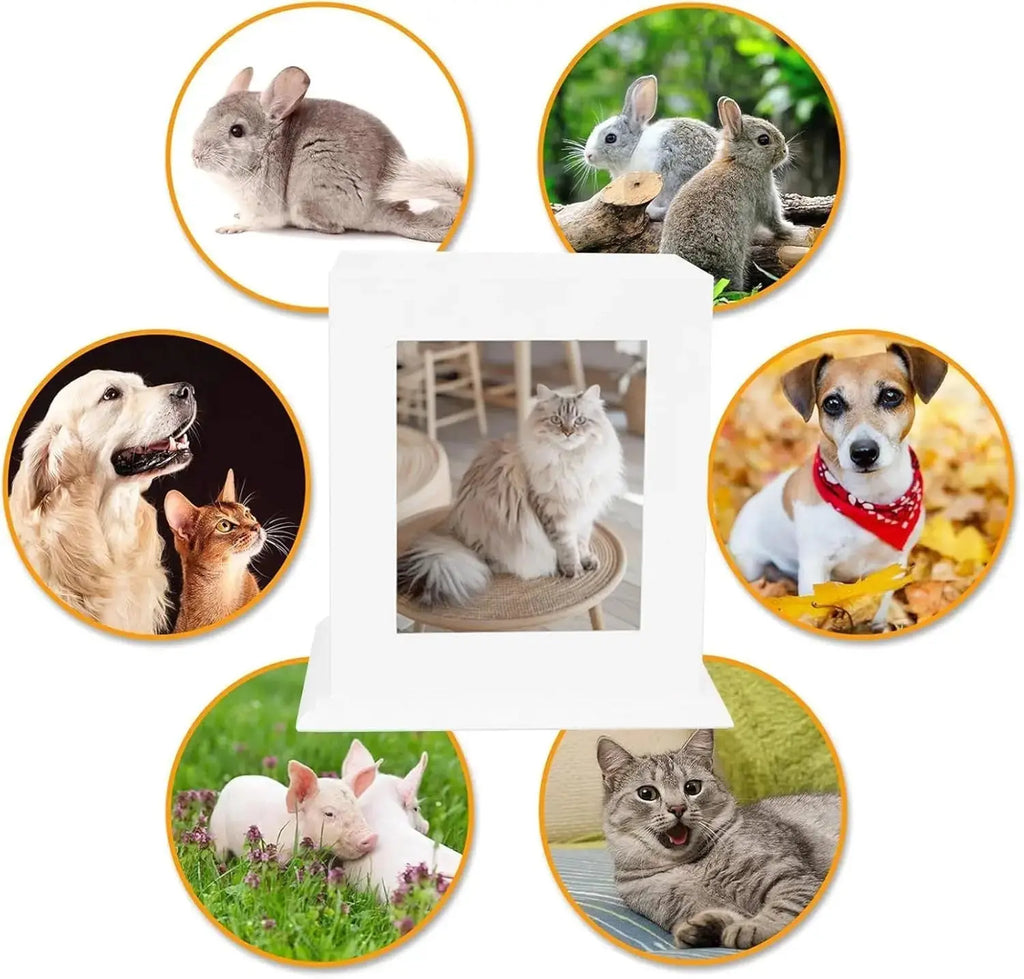 Wooden Pet Memorial Urn with Photo Frame Keepsake Box for Dogs & Cats Wags & Whiskers Pet Supply