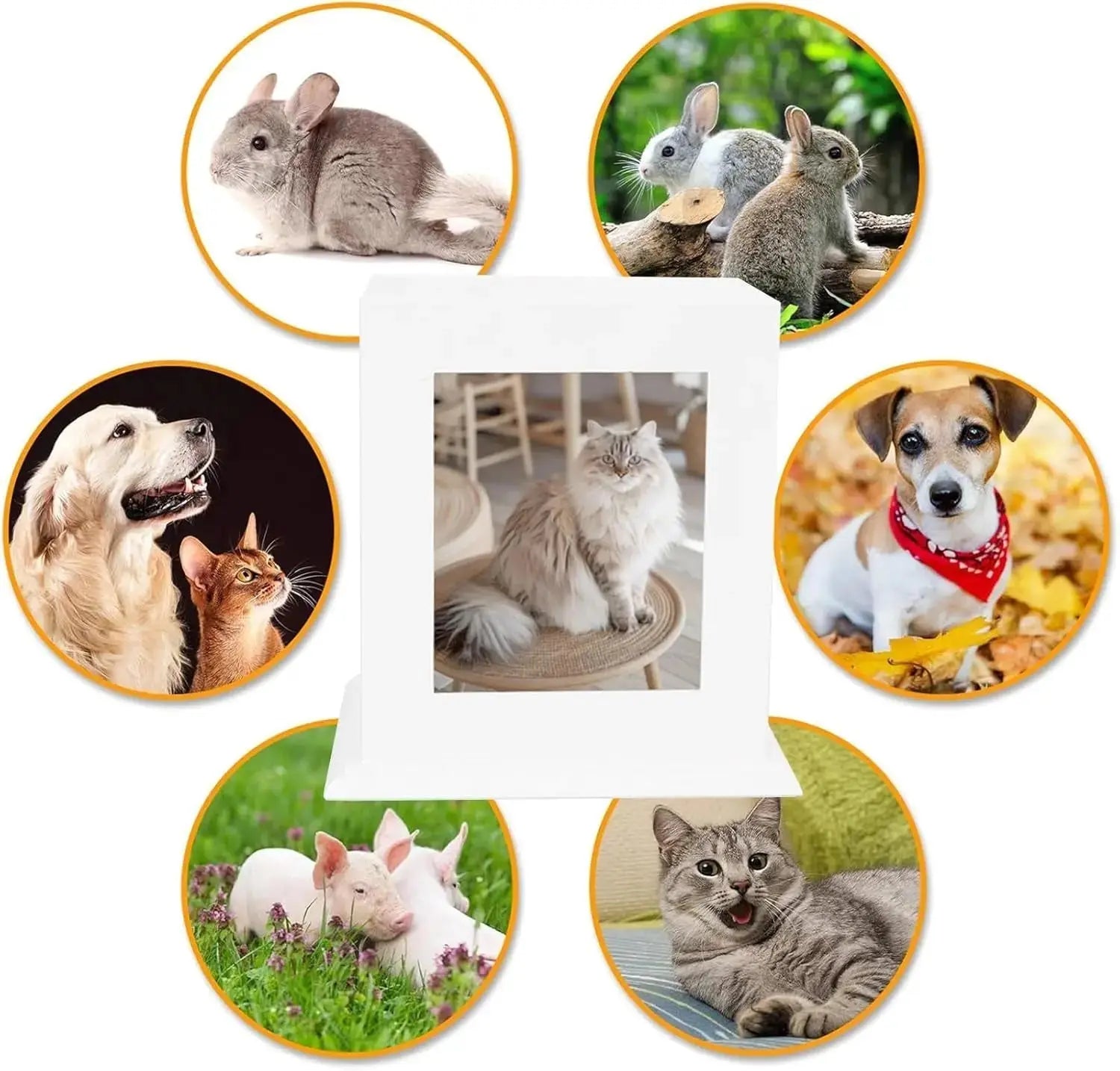 Wooden Pet Memorial Urn with Photo Frame Keepsake Box for Dogs & Cats Wags & Whiskers Pet Supply