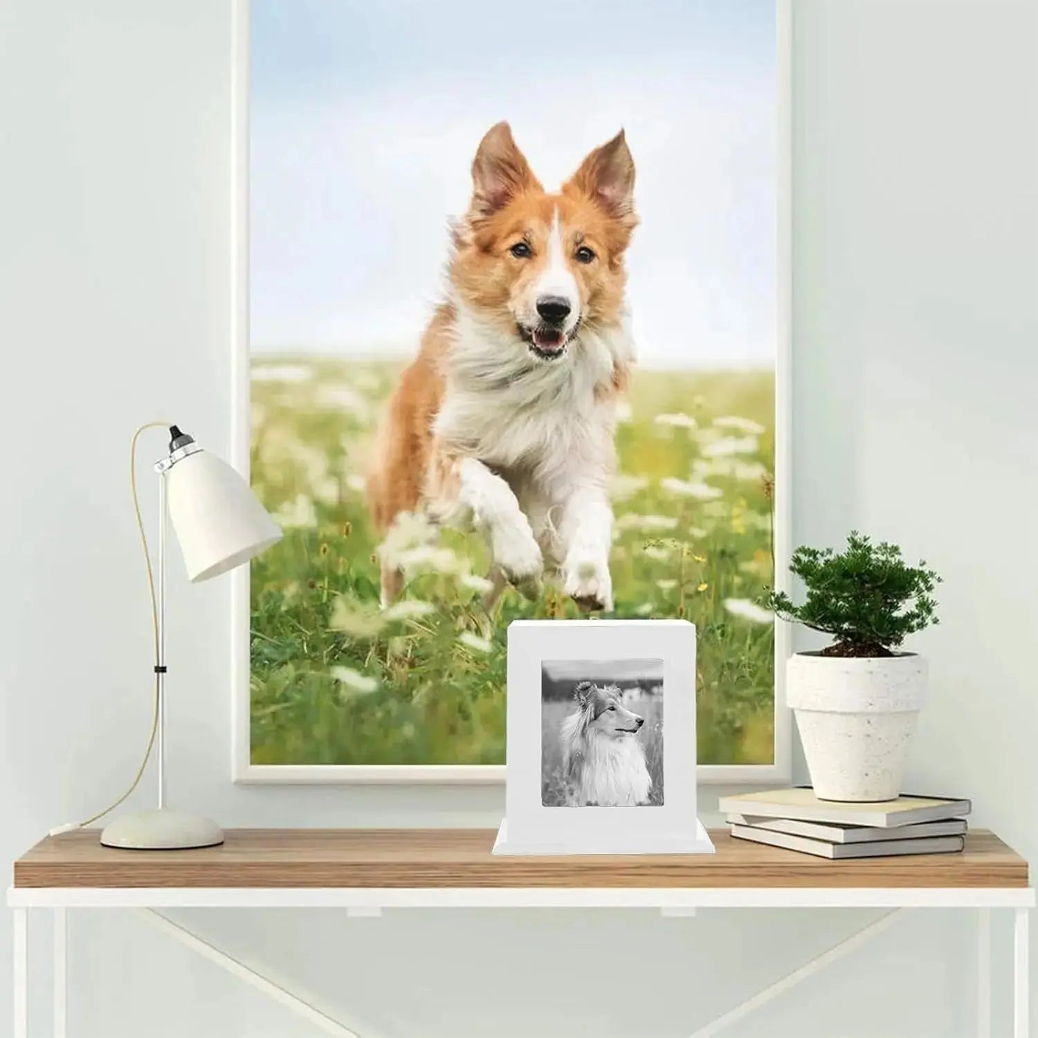 Wooden Pet Memorial Urn with Photo Frame Keepsake Box for Dogs & Cats Wags & Whiskers Pet Supply