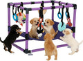 Indoor Puppy Play Gym with Hammock 8 Toys Dog Enrichment Activity Center Wags & Whiskers Pet Supply