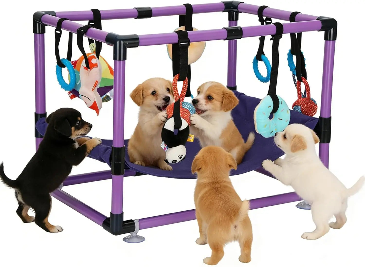 Indoor Puppy Play Gym with Hammock 8 Toys Dog Enrichment Activity Center Wags & Whiskers Pet Supply