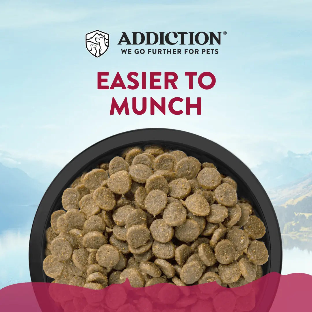 Viva La Venison Grain-free Premium Venison Small Breed Dry Dog Food - FurrBaby Necessities
