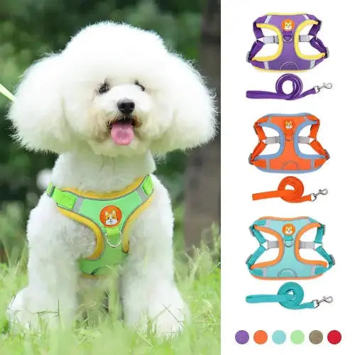New Dog Leash And Harness Set Pet Dog Harness And Leash Set Adjustable Puppy Cat Harness Vest Reflective Walking No Pull Lead Leash For Small Dogs Chihuahua by Sell My Stuff