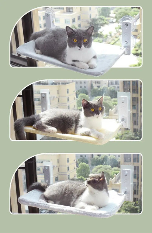 Cat Suction Cup Window Glass Hammock Pet Cat Pets Products Sochenda