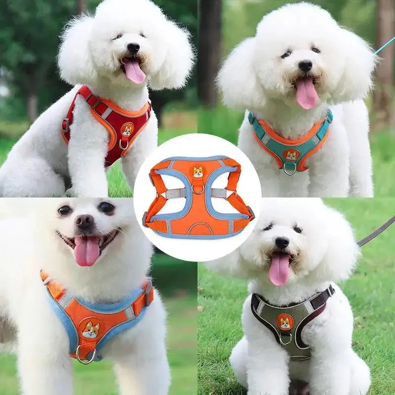 New Dog Leash And Harness Set Pet Dog Harness And Leash Set Adjustable Puppy Cat Harness Vest Reflective Walking No Pull Lead Leash For Small Dogs Chihuahua by Sell My Stuff