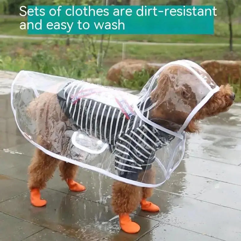Pet Raincoat Dog Small Dog by Pet Zen