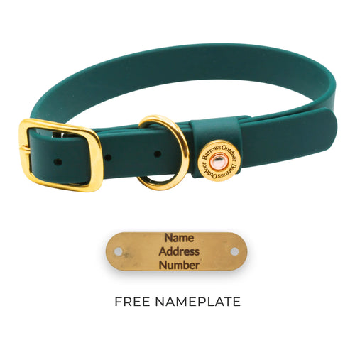 Barrows Dog Collar - Green Barrows Outdoor