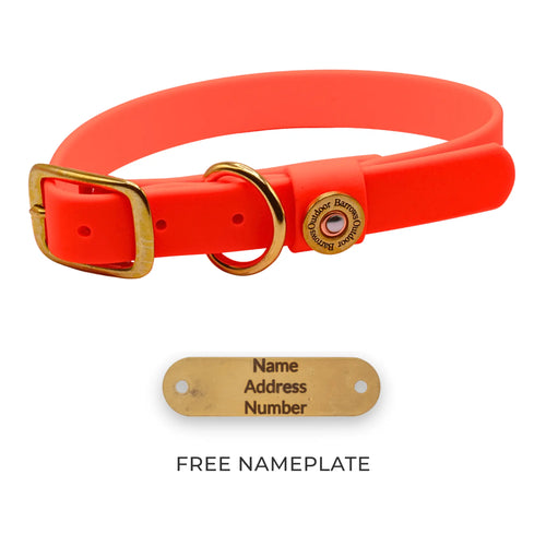 Barrows Dog Collar - Orange Barrows Outdoor