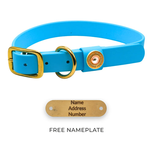 Barrows Dog Collar - Teal Barrows Outdoor