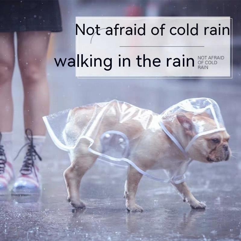 Pet Raincoat Dog Small Dog Pet Zen