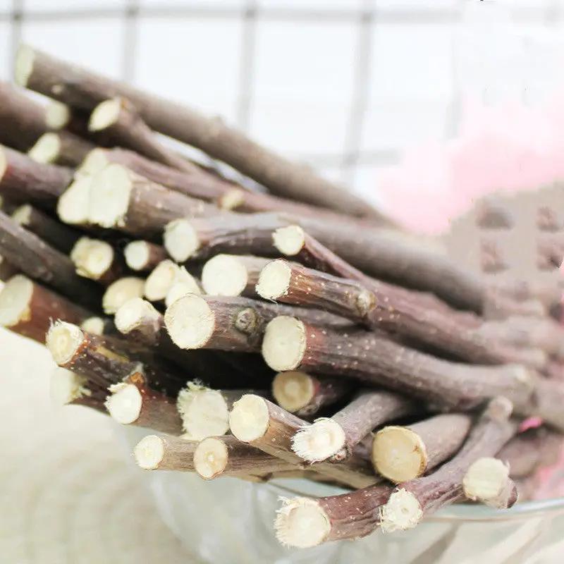 Dried Branches Rabbit Chinchilla Hamster Treats by Sell My Stuff