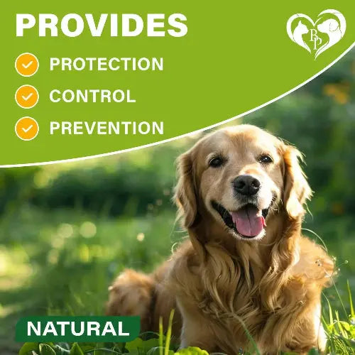 Flea & Tick Collar for Dogs 6-Month Protection Essential Oil 2 Count by Zamzamas