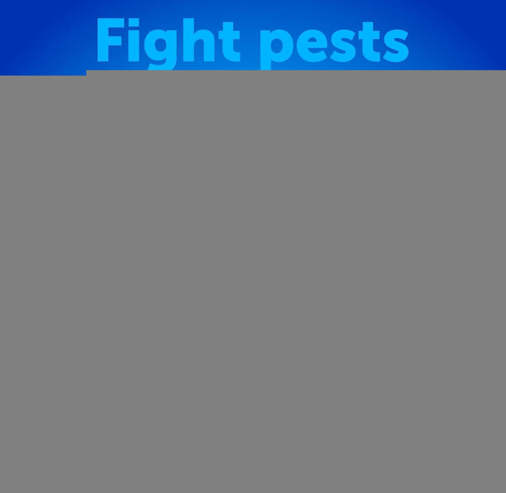 Flea & Tick Chews for Cats & Kittens 135 Count Daily Oral Skin & Coat by Zamzamas