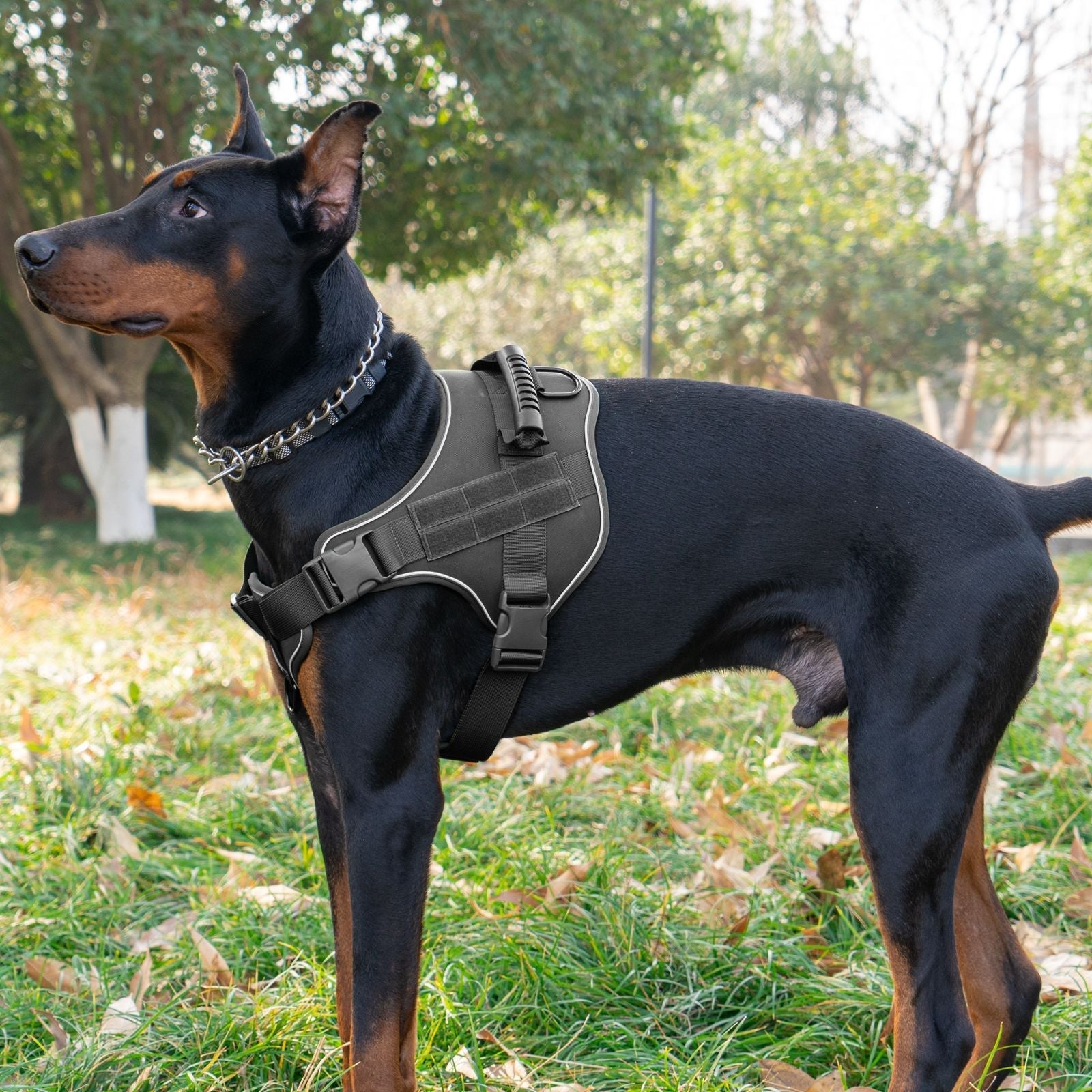 Breathable Tactical Harness Traction Rope for Large Dogs Pet Zen