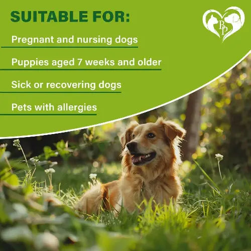 Flea & Tick Collar for Dogs 6-Month Protection Essential Oil 2 Count by Zamzamas