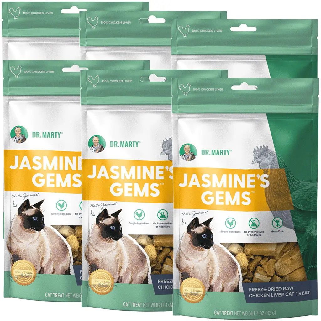Dr. Marty Jasmine's Gems Freeze-Dried Raw Chicken Liver Cat Treats, 4oz HardyPaw