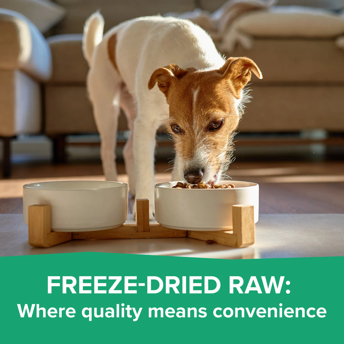 Dr. Marty Nature's Blend Essential Wellness Small Bites Freeze Dried Raw Dog Food HardyPaw