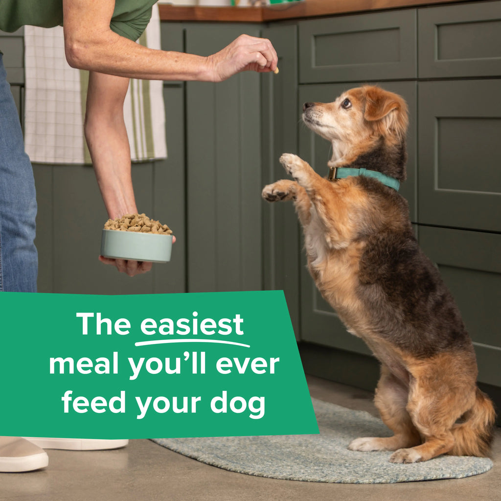 Dr. Marty Nature's Blend Essential Wellness Small Bites Freeze Dried Raw Dog Food HardyPaw