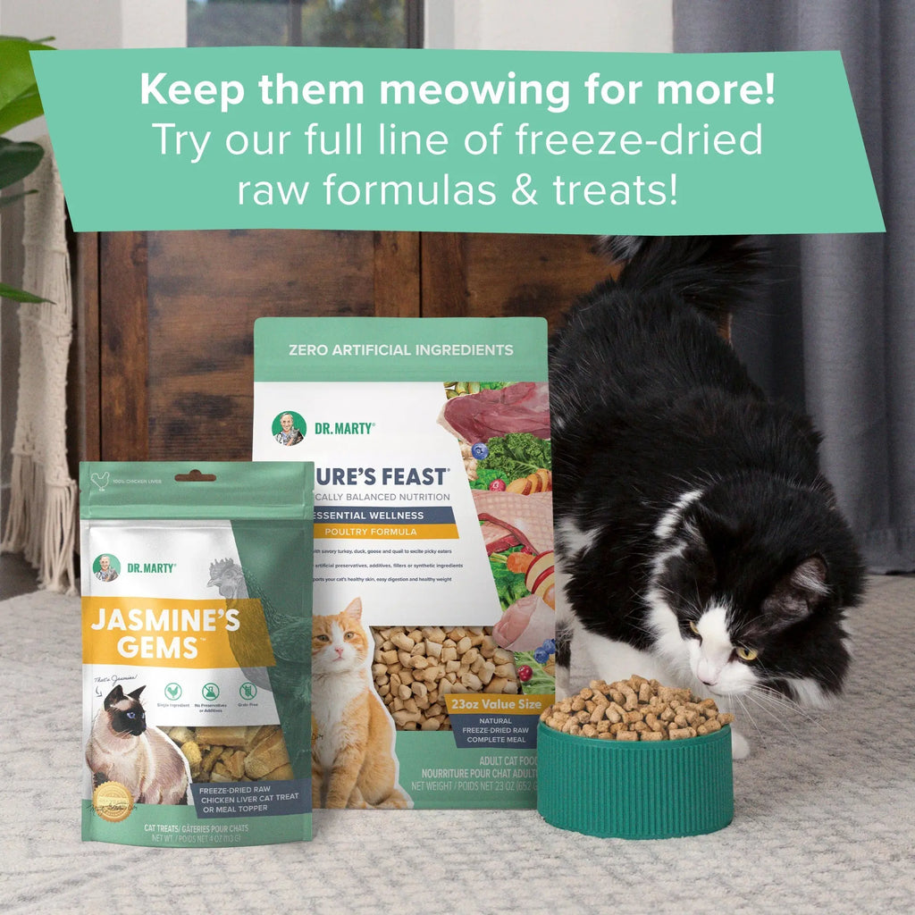 Dr. Marty Nature's Feast Essential Wellness Poultry Freeze Dried Raw Cat Food HardyPaw