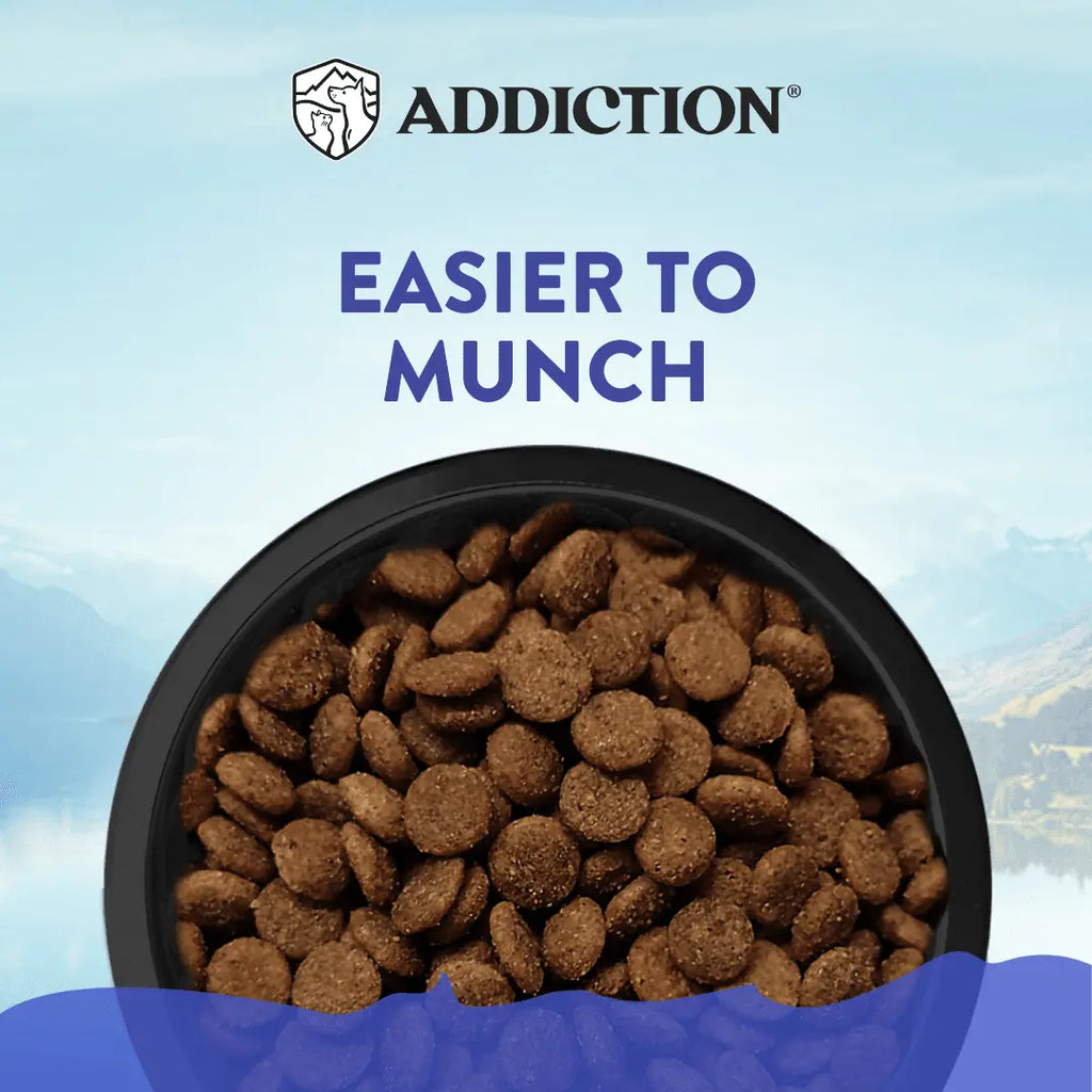 Wild Islands Duck Royale Duck Dry Dog Food – Grain-Free Recipe - FurrBaby Necessities