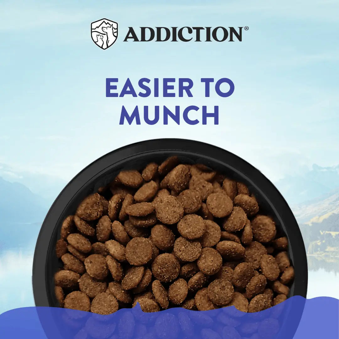 Wild Islands Duck Royale Duck Dry Dog Food – Grain-Free Recipe - FurrBaby Necessities