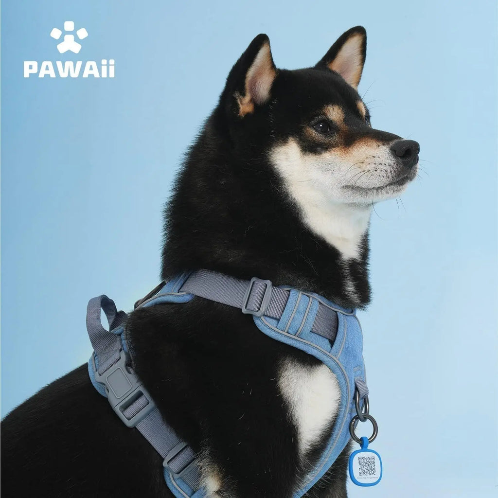 No Pull Dog Harness Reflective Adjustable Vest with ID Tag Small Dogs Wags & Whiskers Pet Supply