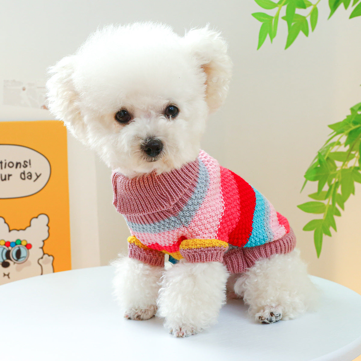 Pet Ring Comfortable Colorful Striped Sweater Pet Zen