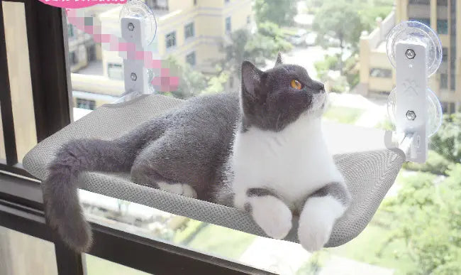 Cat Suction Cup Window Glass Hammock Pet Cat Pets Products Sochenda