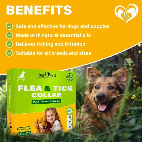 Flea & Tick Collar for Dogs 6-Month Protection Essential Oil 2 Count by Zamzamas