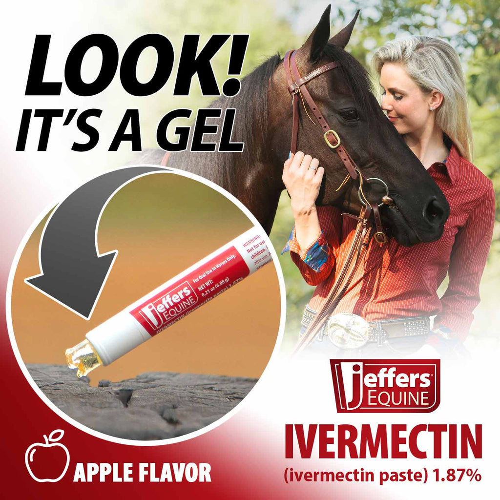 Jeffers Ivermectin Horse Dewormer Gel, Apple Flavored - FurrBaby Necessities
