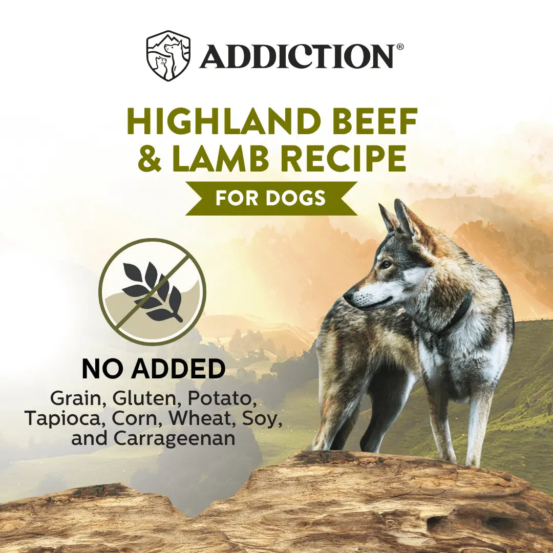 Wild Islands Highland Beef & Lamb Recipe Premium Grain-free Canned Dog Food 185g - FurrBaby Necessities